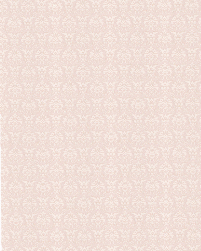 ZN009-2 (FILEminimizer)